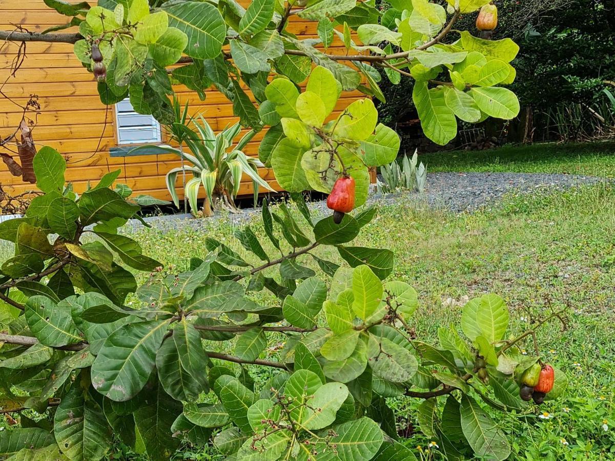La Kaz Nature Bien-Etre Petit-Bourg Exteriör bild